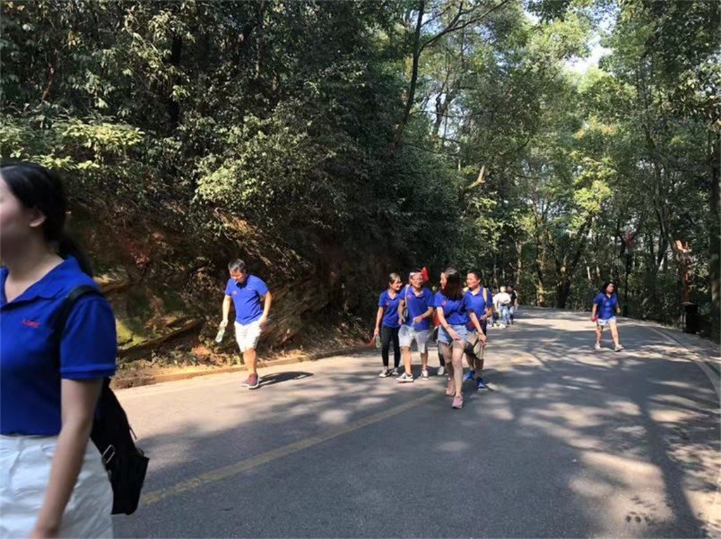 1569814119176871.jpg 1569814119176871.jpg